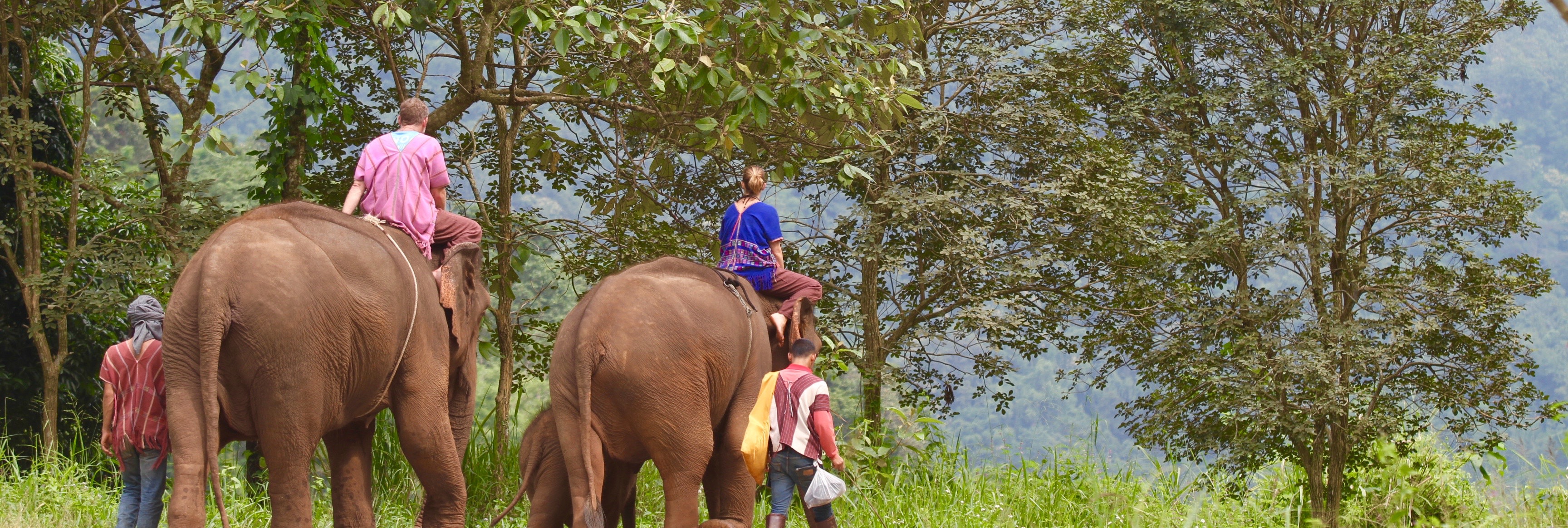 Lee and Jules have a jungle ride